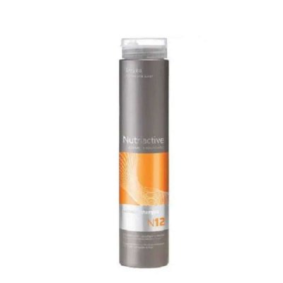 ERAYBA - Nutriactive n12 collastin shampoing 250 ml